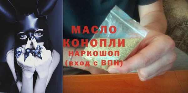 индика Коряжма