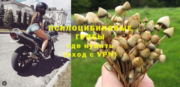 тгк Кодинск