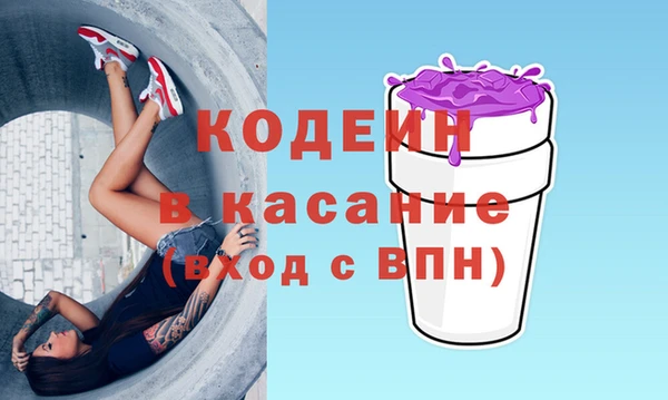 индика Алапаевск