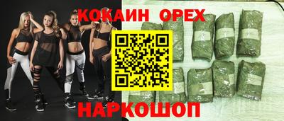 стаф Заводоуковск