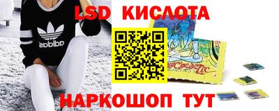 стаф Заводоуковск