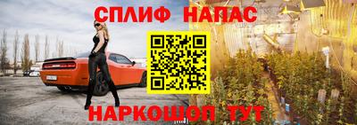 стаф Заводоуковск
