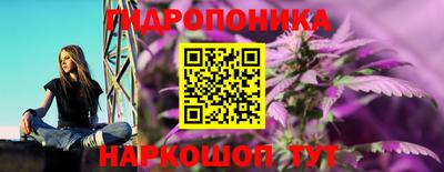 стаф Заводоуковск