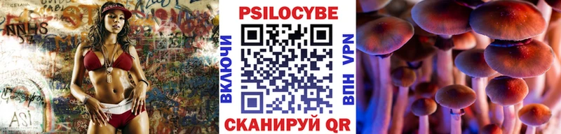купить наркотик Курганинск Галлюциногенные грибы Magic Shrooms