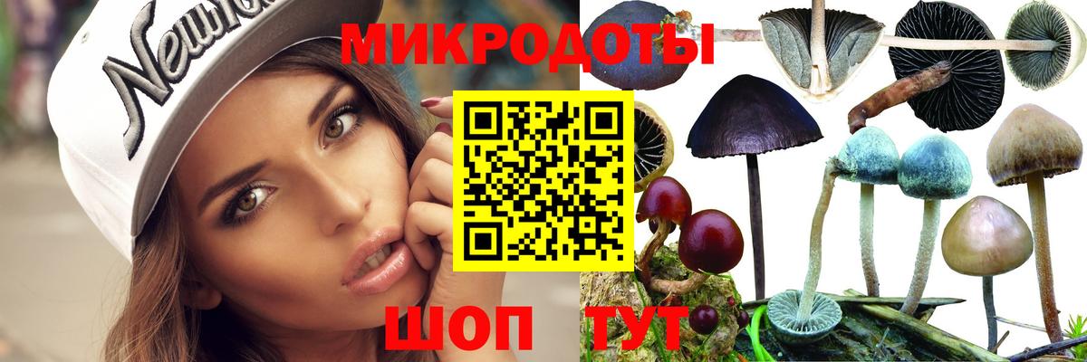 Галлюциногенные грибы Cubensis  Вход с VPN  Курганинск 